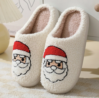 Santa Christmas Slippers